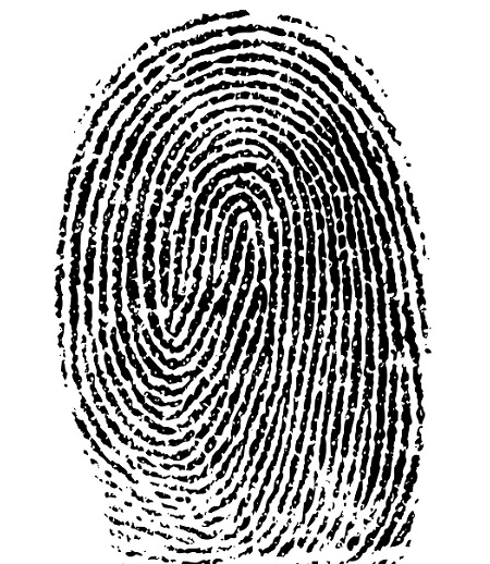 Fingerprint